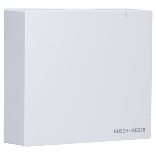 Busch-Jaeger SAP.13 System Access Point 3.0 2CKA006200A0868