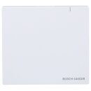 Busch-Jaeger SAP.13 System Access Point 3.0 2CKA006200A0868