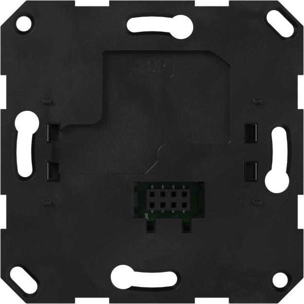 Gira 232100 Einsatz UP-Radio IP System 55