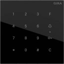 Gira 5550000 Keyless In Codetastaturmodul System 106 G...