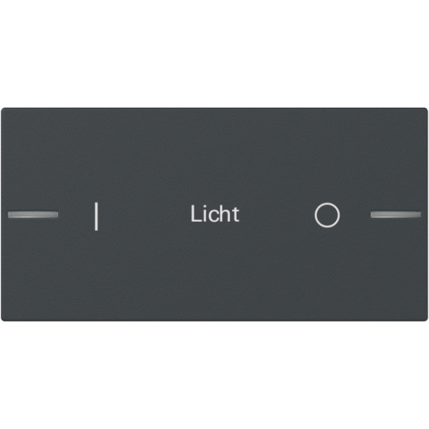 Gira 862228 Wippenset 2-fach individuell für Tastsensor 4.55  Anthrazit