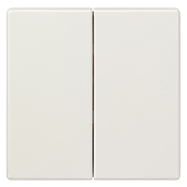 Siemens 5TG7145 DELTA style Wippe 2-fach neutral für Serienschalter Titanweiß