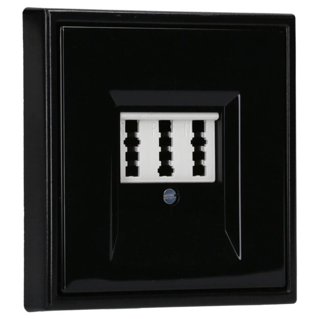 Jung Serie LS Komplett-Set Schwarz: TAE-Anschlussdose TAE 3x6 NFN Up 0 rw + LS969TSW Abdeckung f. TAE-Anschlussdose + LS981SW Rahmen 1-fach
