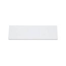 ESYLUX LENJA PDL 600 BLANK MODULE Blindmodul 600 mm zum...
