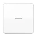 Jung CD590KO5WW Wippe f. Schalter/Taster KO (Duroplast)...