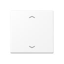 B-WARE Jung A1700BFPWWM Steuertaste Standard Pfeile...