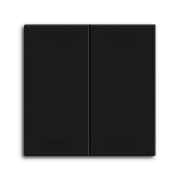 MDT TAL-55BW2006.02  Wippe für KNX Taster Light 55 Basic 2-fach Neutral Schwarz matt
