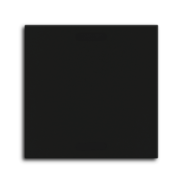 MDT TAL-55BW1006.02  Wippe für KNX Taster Light 55 Basic 1-fach Neutral Schwarz matt