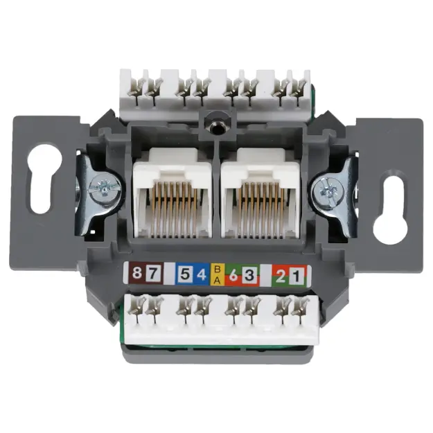 RKB 80000004 Netzwerkdose 2-fach Unterputz