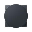 JUNG AWCMAGANM Magnetic Charger Abdeckung AS Anthrazit...