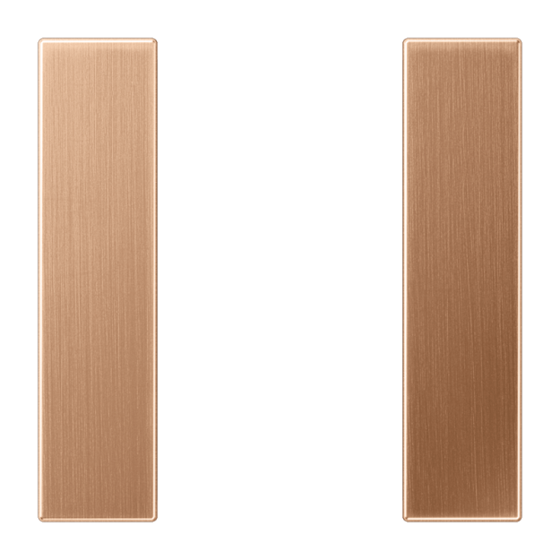 Jung BRG2501TSA Tastensatz F50 Metall PVD-beschichtet Serie LS Bronze gebürstet Aufputz