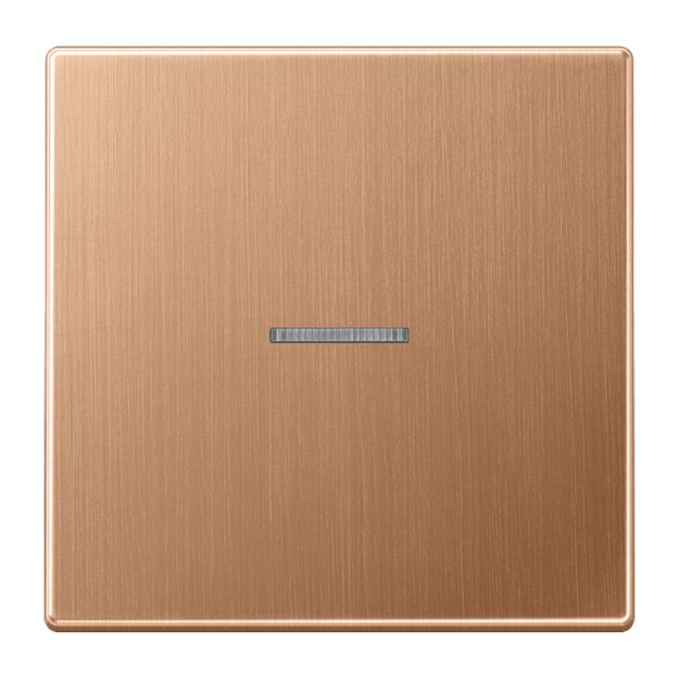 Jung BRG2990KO5 Wippe 1fach mit Lichtleiter Metall PVD-beschichtet Serie LS Bronze gebürstet Aufputz