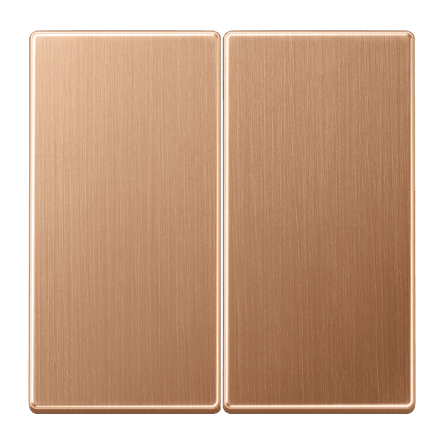 Jung BRG2995 Wippe 2fach Metall PVD-beschichtet Serie LS Bronze gebürstet Aufputz