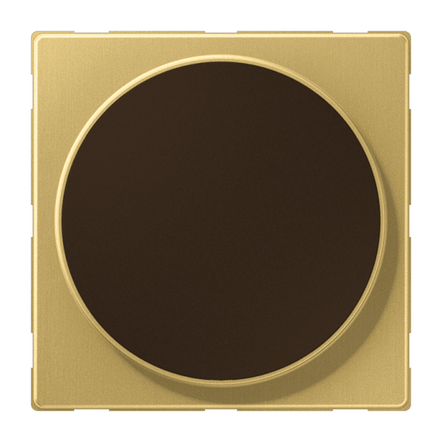 JUNG MEWCMAGC Magnetic Charger Abdeckung LS Messing Classic für induktives und kabelloses Laden
