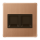 Jung BRG1969-2WE Abdeckung (gerastet) für Modular-Jack-Steckbuchsen 2fach UMA-CAT6A RADIALL Panduit Assmann Metall PVD-beschichtet Serie LS Bronze gebürstet Aufputz