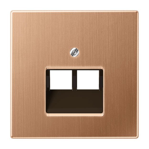 Jung BRG2969-2UA Abdeckung für IAE/UAE-Anschlussdosen 2 x 8-polig Metall PVD-beschichtet Serie LS Bronze gebürstet Aufputz