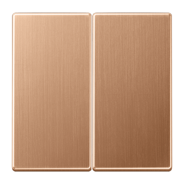 Jung BRG1702 LB-Management Taster 2fach Metall PVD-beschichtet Serie LS Bronze gebürstet Aufputz