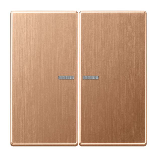 Jung BTBRG17102 JUNG HOME Taster 2fach mit Lichtleiter Metall PVD-beschichtet Serie LS Bronze gebürstet Aufputz