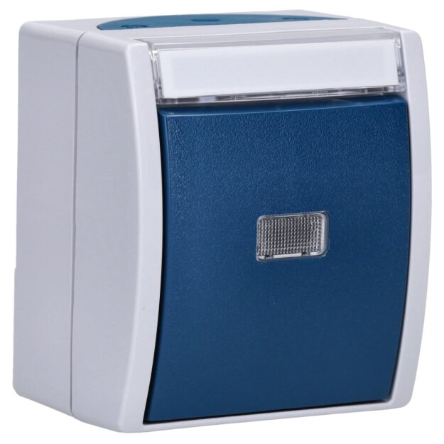 Exklusives Angebot: Busch-Jaeger 2621 WN-53-201 Wipptaster Schließer (Thermoplast) Grau ocean® (IP 44) 2CKA001484A0373 - nur für kurze Zeit!