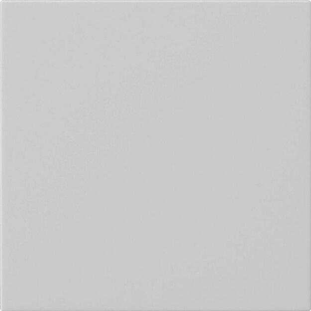 Exklusives Angebot: Gira 5372015 Wippe 1-fach unbedruckt System 55 Grau matt - nur für kurze Zeit!