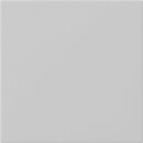 Exklusives Angebot: Gira 5372015 Wippe 1-fach unbedruckt...