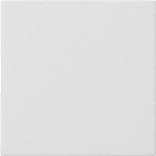 Exklusives Angebot: Gira 537203 Wippe 1-fach unbedruckt System 55 Reinweiß - nur für kurze Zeit!