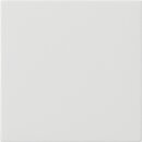 Exklusives Angebot: Gira 537203 Wippe 1-fach unbedruckt...