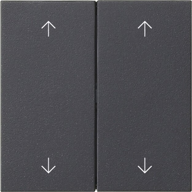 Exklusives Angebot: Gira 538728 Wippe 2-fach Pfeile System 55 Anthrazit - nur für kurze Zeit!