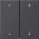 Exklusives Angebot: Gira 538728 Wippe 2-fach Pfeile...