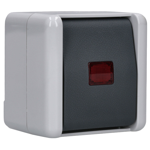 Exklusives Angebot: Jung 806KOW Wipp-Kontrollschalter 10 AX 250 V ~ Serie WG - nur für kurze Zeit!