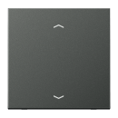 Exklusives Angebot: Jung AL101PAN Wippe für Taster...