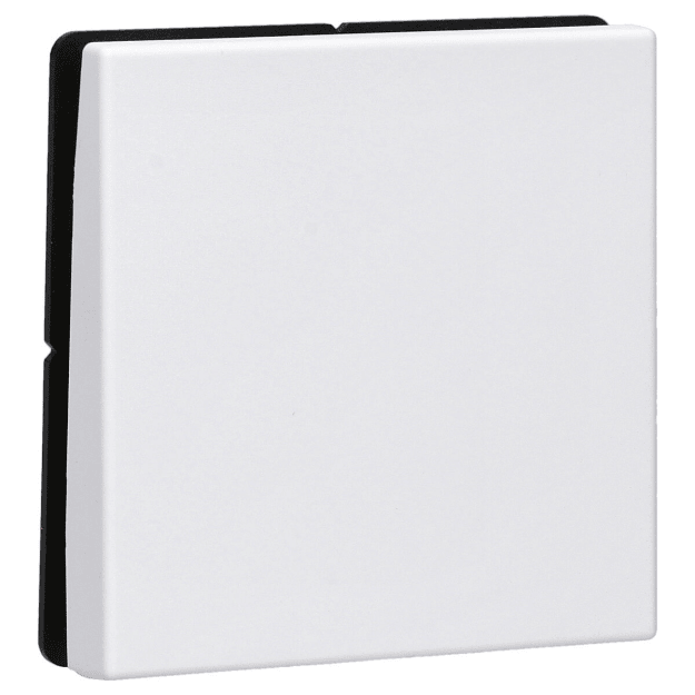 Exklusives Angebot: Jung BLELS990WWM Bluetooth Low Energy Funk-Wandsender 2-kanalig Thermoplast lackiert Schneeweiß matt - nur für kurze Zeit!