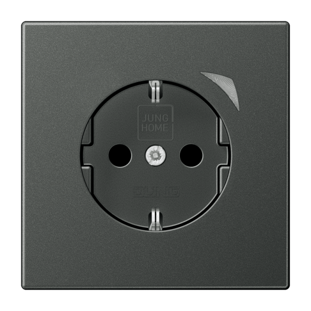 Exklusives Angebot: Jung BTAL1521SAN-L Steckdose Safety+ JUNG HOME Serie LS Anthrazit - nur für kurze Zeit!
