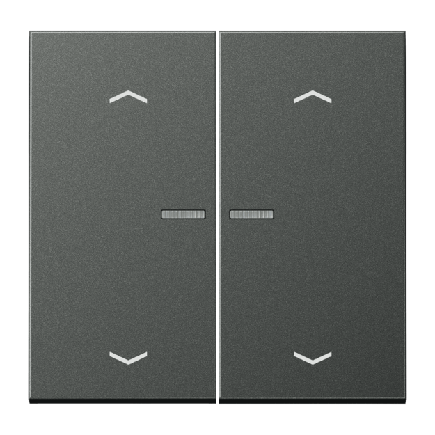 Exklusives Angebot: Jung BTAL17102PAN JUNG HOME Taster 2-fach mit Pfeilsymbolen Anthrazit - nur für kurze Zeit!
