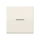 Exklusives Angebot: Jung BTAS17101 JUNG HOME Taster...