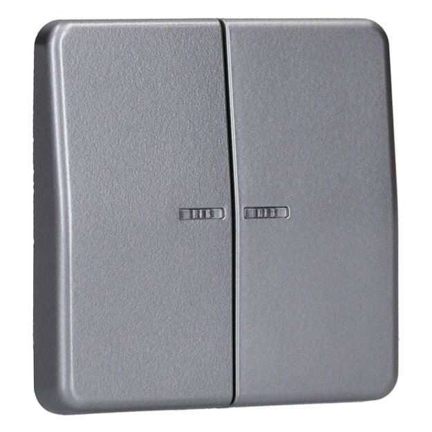 Exklusives Angebot: Jung BTCD17102PT JUNG HOME Taster 2-fach Platin - nur für kurze Zeit!