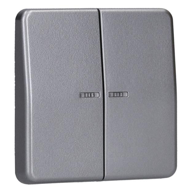 Exklusives Angebot: Jung BTCD17102PT JUNG HOME Taster 2-fach Platin - nur für kurze Zeit!