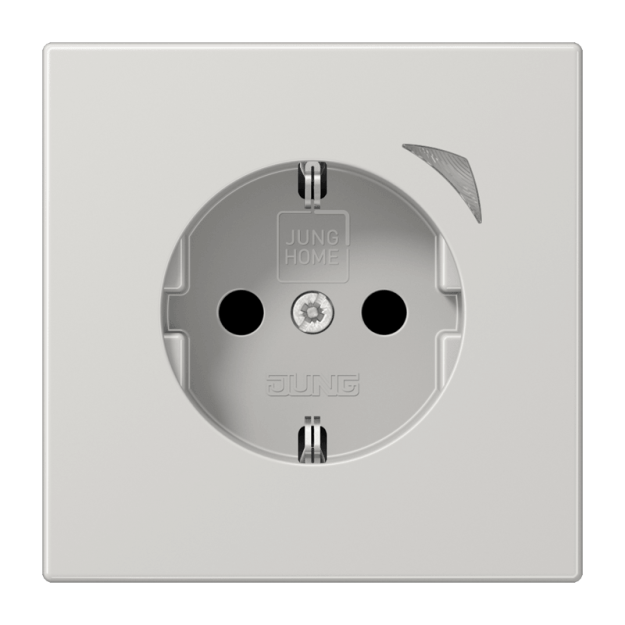 Exklusives Angebot: Jung BTLS1521SLG Steckdose Safety+ JUNG HOME Serie LS Lichtgrau - nur für kurze Zeit!