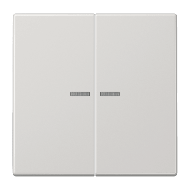Exklusives Angebot: Jung BTLS17102LG JUNG HOME Taster 2-fach Lightgrau - nur für kurze Zeit!