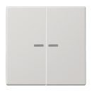 Exklusives Angebot: Jung BTLS17102LG JUNG HOME Taster...