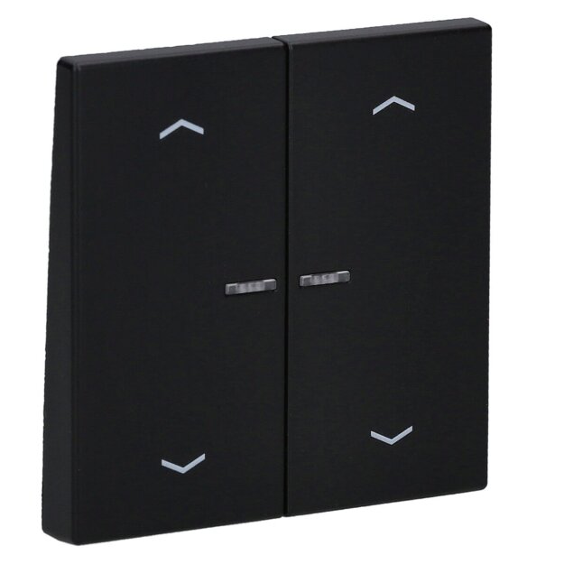Exklusives Angebot: Jung BTLS17102PSWM JUNG HOME Taster 2-fach mit Pfeilsymbolen Graphitschwarz matt - nur für kurze Zeit!