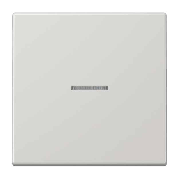 Exklusives Angebot: Jung LS990KO5LG Wippe f. Schalter/Taster KO Lichtgrau Serie LS - nur für kurze Zeit!