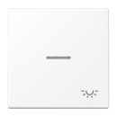 Exklusives Angebot: Jung LS990KO5LWWM Wippe mit Symbol...