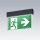 Thorn 96638192 Sicherheitszeichenleuchte VOYAGER STYLE 150 MS ECS SM-S BK