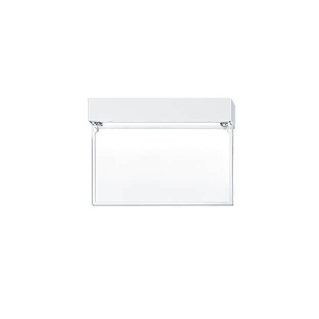 Zumtobel 42191775 Sicherheitszeichenleuchte CSP 160 ERI MSC E1BCP WH