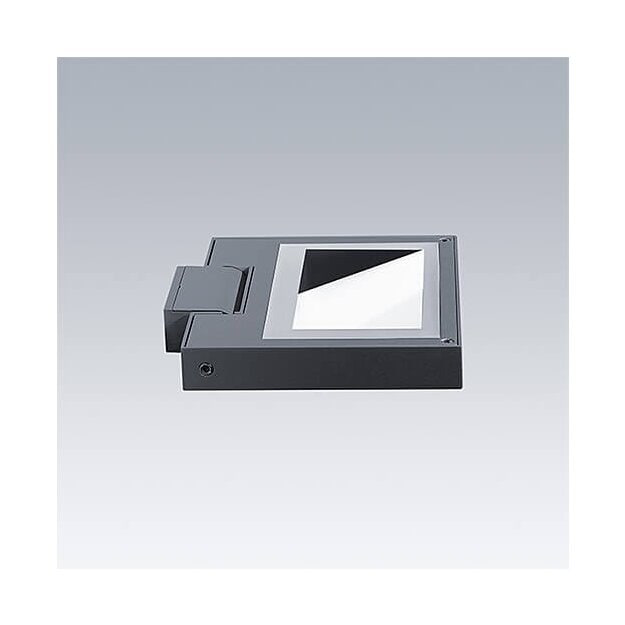 Thorn 96801566 LED-Allzweckflutlicht AXYL FLOOD S 56L 930 AS HFX ANT