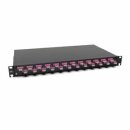 Rutenbeck 228030124-01 Spleissbox ausziehbar 19/1HE...