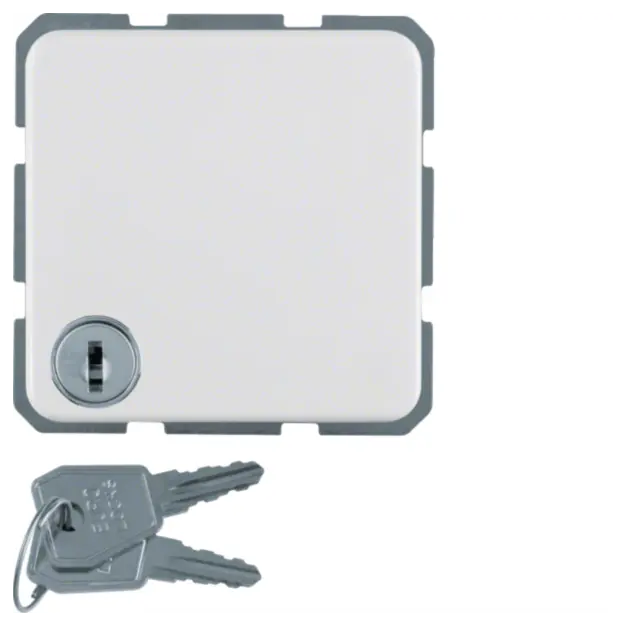 Hager WWS1115PW Steckdose SCHUKO mit Klappdeckel Schloss...