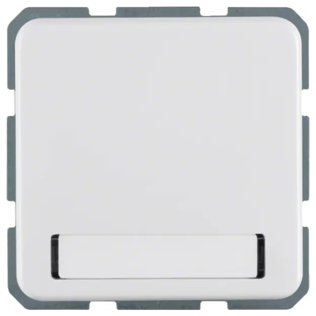 Hager WWS1114PW Steckdose SCHUKO mit Klappdeckel Beschriftungsfeld WG UP IP44 Polarweiß