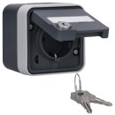 Hager WNC166 AP Steckdose 1-fach mit Klappdeckel...